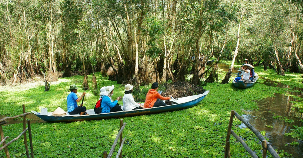 Rừng Tràm Trà Sư - An Giang